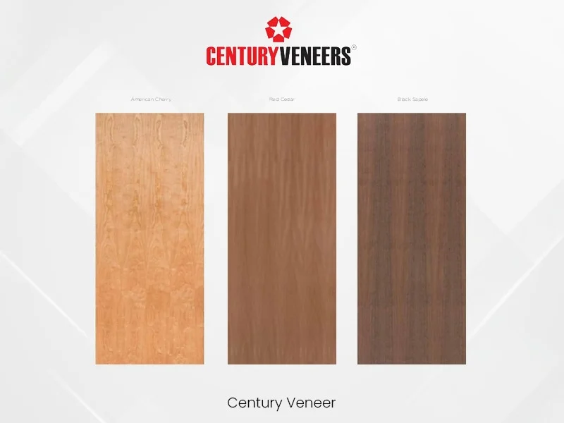 Veneer — image 3
